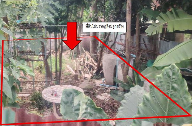 รูปที่ดินว่างเปล่า บางขันหมาก เมืองลพบุรี ลพบุรี