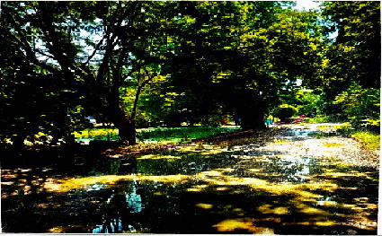 รูปที่ดินว่างเปล่า พนมเศษ ท่าตะโก นครสวรรค์