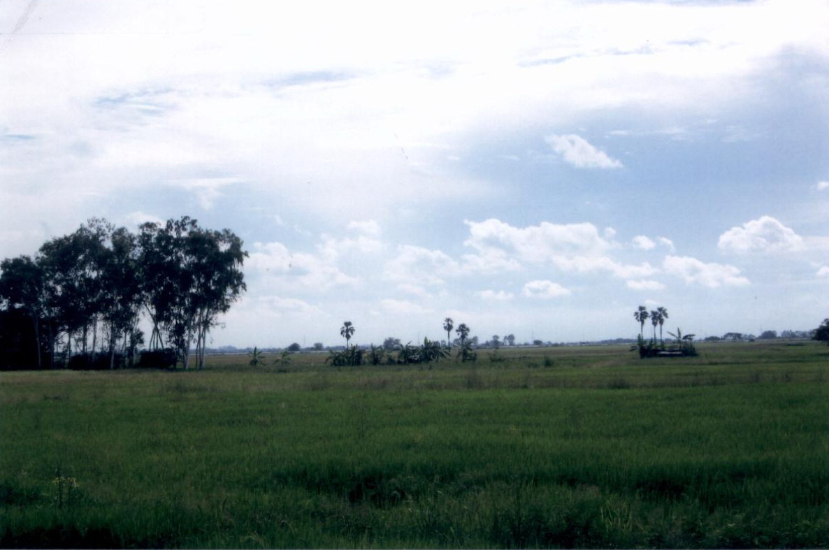 รูปที่ดินว่างเปล่า ถนนใหญ่ เมืองลพบุรี ลพบุรี