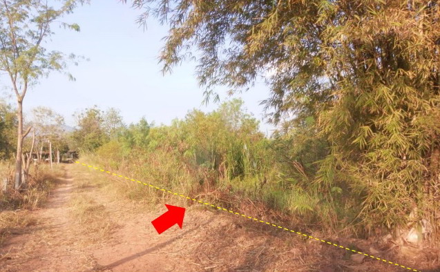 รูปที่ดินว่างเปล่า หนองบัวแดง หนองบัวแดง ชัยภูมิ