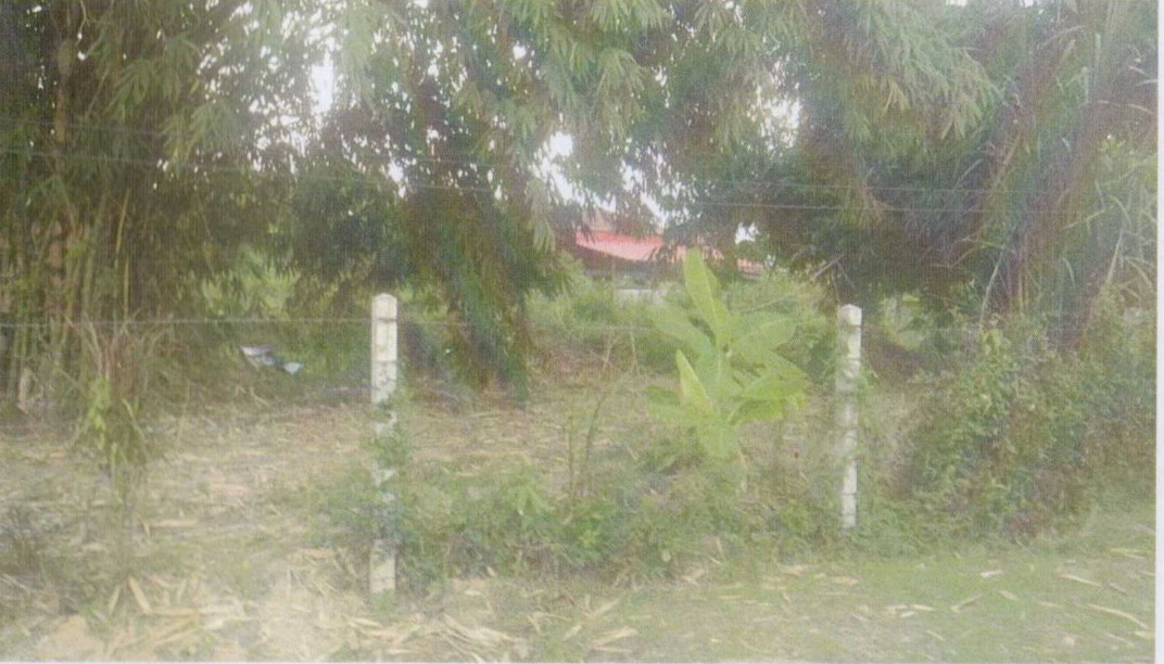 รูปที่ดินว่างเปล่า โคกไทย ศรีมโหสถ ปราจีนบุรี