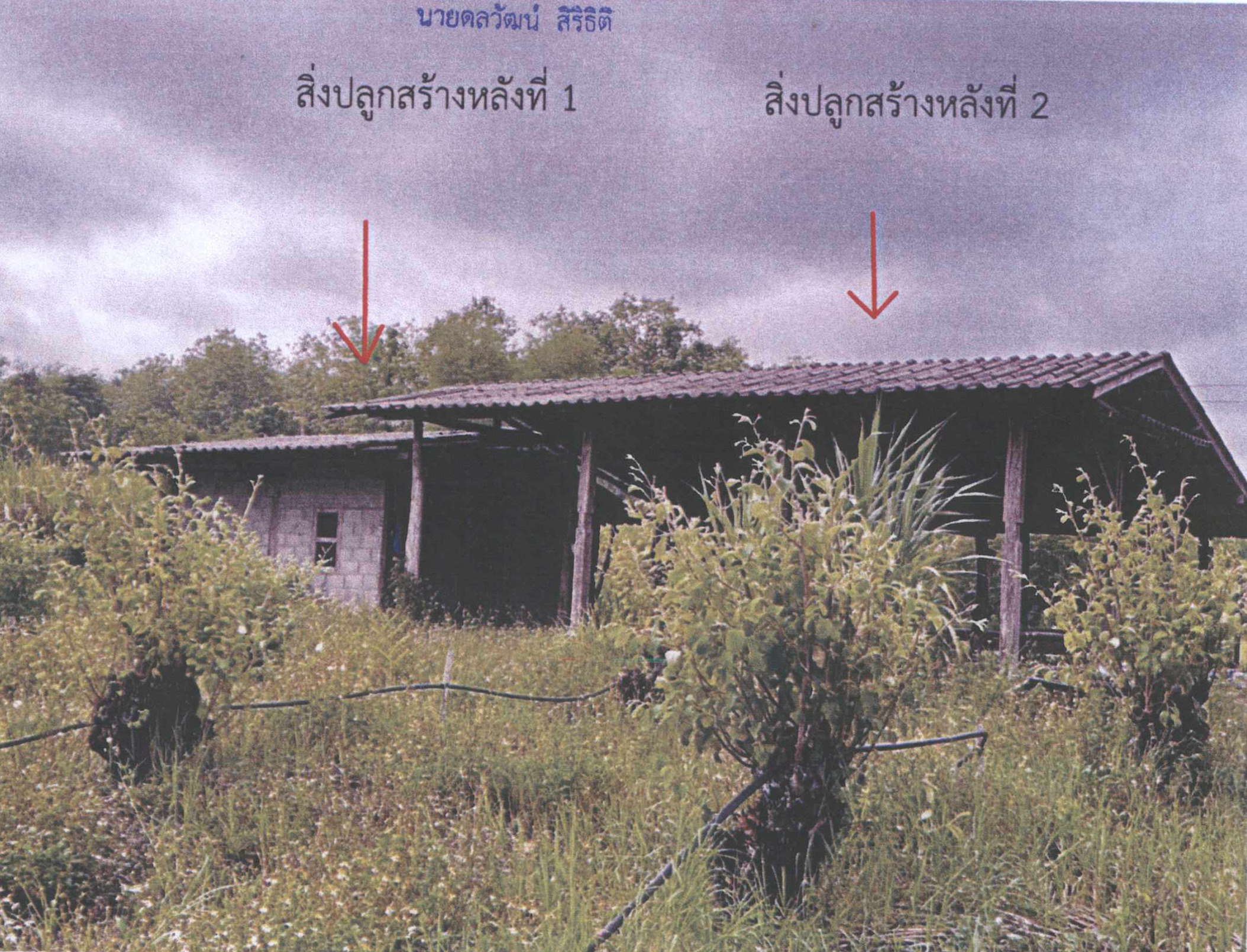 รูปที่ดินพร้อมสิ่งปลูกสร้าง แม่คะ ฝาง เชียงใหม่