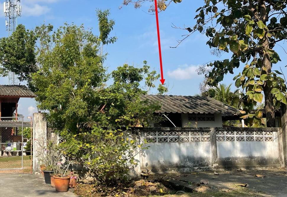 รูปที่ดินพร้อมสิ่งปลูกสร้าง สันปูเลย ดอยสะเก็ด เชียงใหม่
