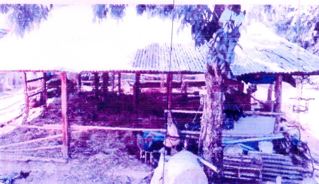 รูปที่ดินพร้อมสิ่งปลูกสร้าง ละทาย กันทรารมย์ ศรีสะเกษ
