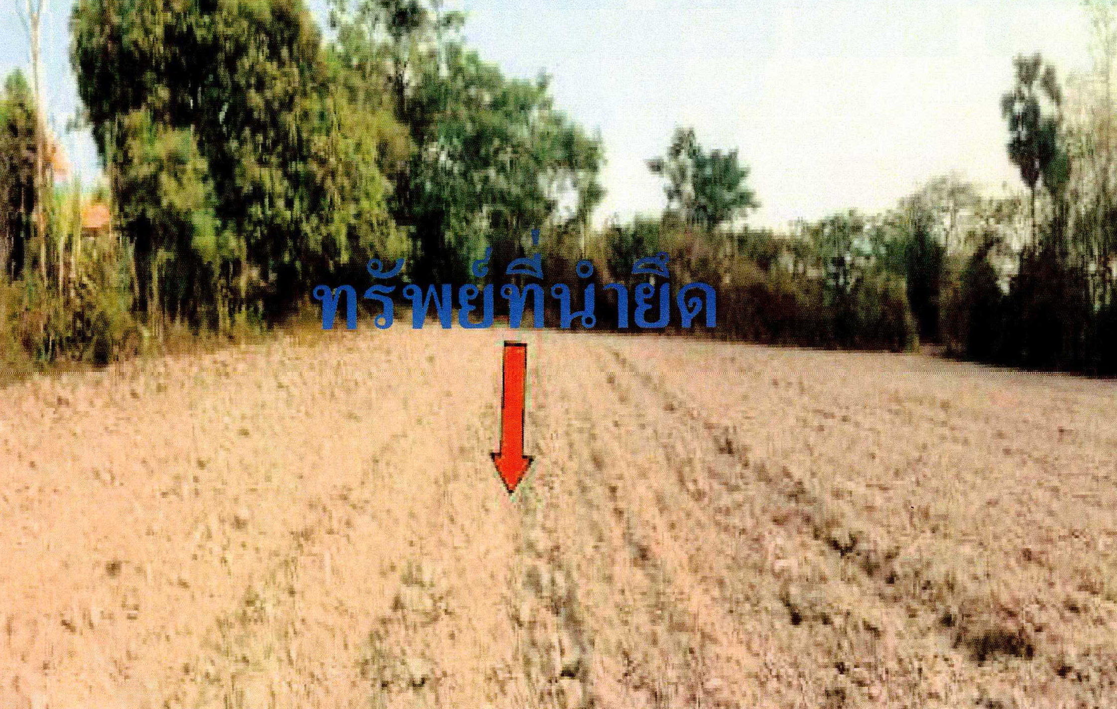 รูปที่ดินว่างเปล่า บ้านฝาง สระใคร หนองคาย