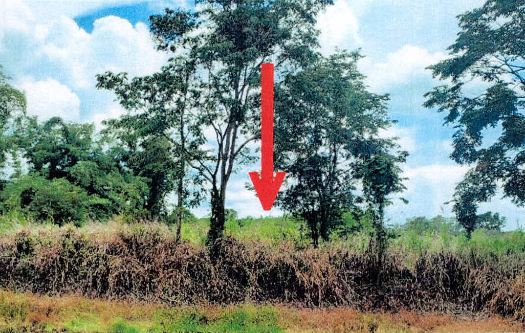 รูปที่ดินว่างเปล่า บ้านเสด็จ เมืองลำปาง ลำปาง