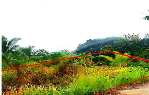 รูปที่ดินว่างเปล่า เมืองไผ่ อรัญประเทศ สระแก้ว