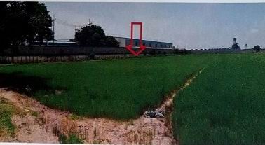 รูปที่ดินว่างเปล่า ไม้ตรา บางไทร พระนครศรีอยุธยา