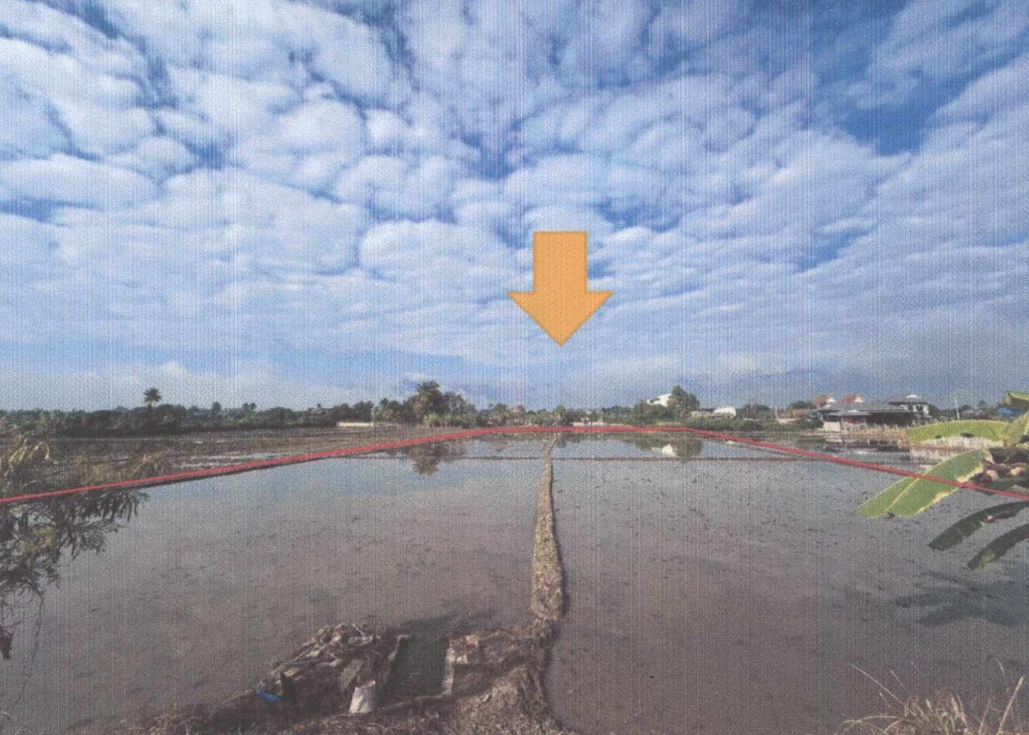 รูปที่ดินว่างเปล่า แม่ข่า ฝาง เชียงใหม่