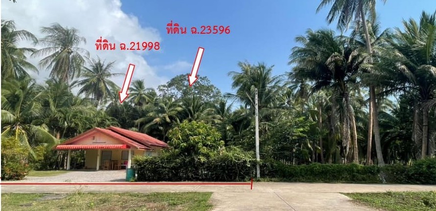 รูปที่ดินว่างเปล่า ทับสะแก ทับสะแก ประจวบคีรีขันธ์