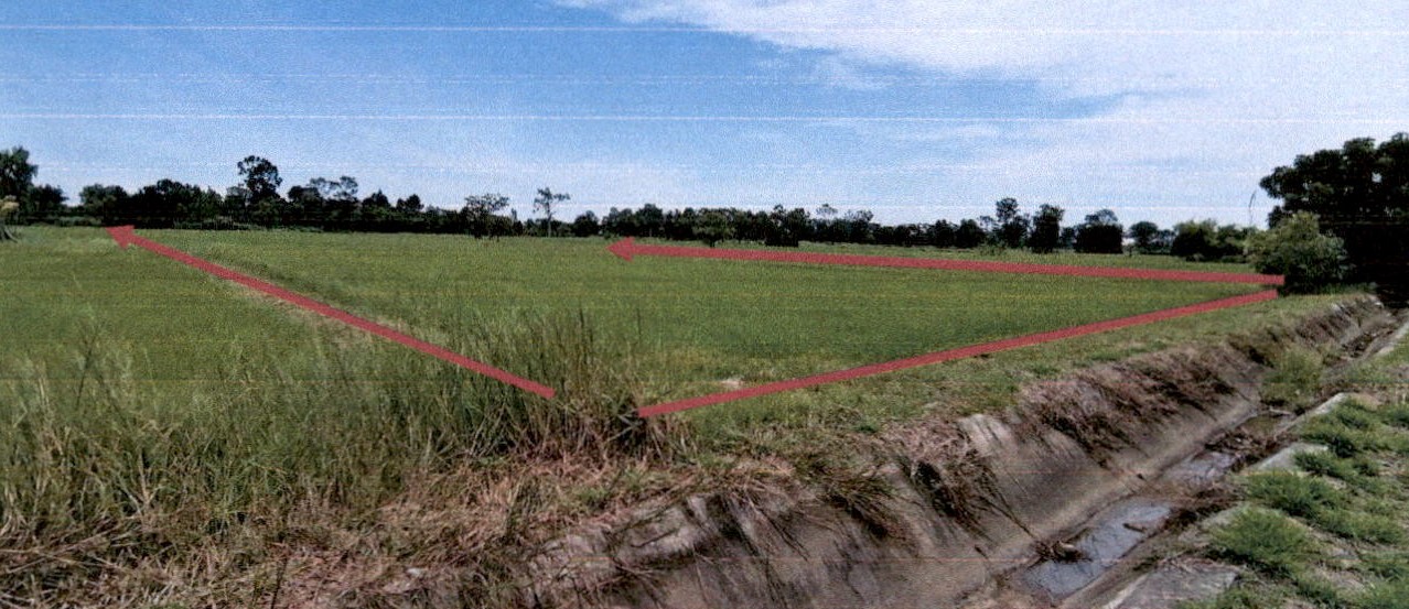 รูปที่ดินว่างเปล่า หนองบัว ท่าตูม สุรินทร์