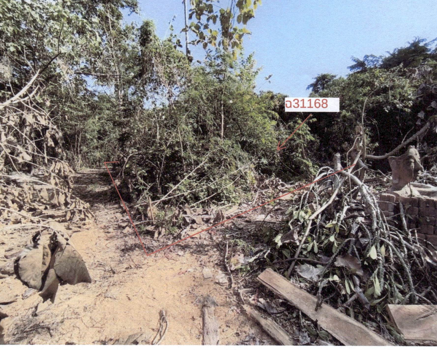 รูปที่ดินว่างเปล่า เกาะตาเลี้ยง ศรีสำโรง สุโขทัย