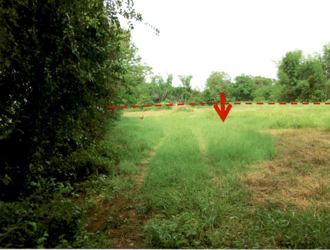 รูปที่ดินว่างเปล่า หนองโบสถ์ นางรอง บุรีรัมย์