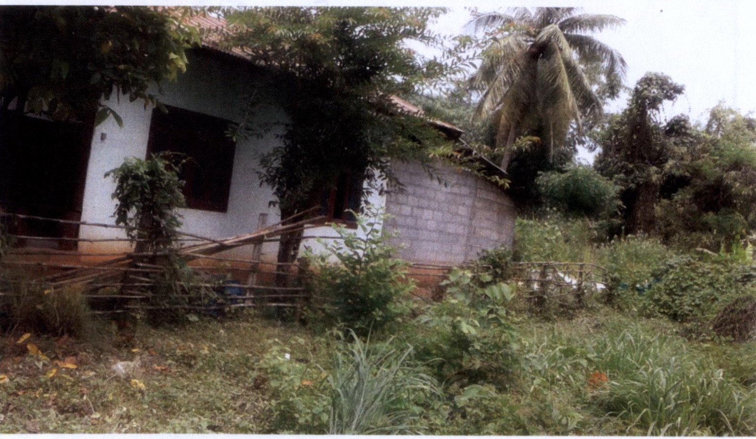 รูปที่ดินพร้อมสิ่งปลูกสร้าง บ้านว่าน ท่าบ่อ หนองคาย