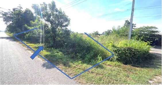 รูปที่ดินว่างเปล่า บ้านเรือน ป่าซาง ลำพูน