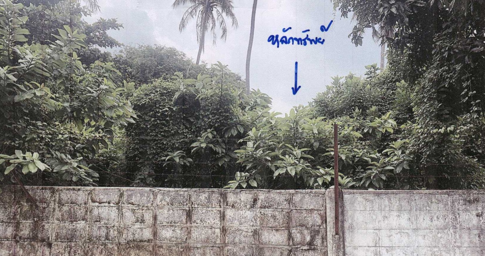 รูปที่ดินว่างเปล่า คลองขวาง ภาษีเจริญ กรุงเทพมหานคร
