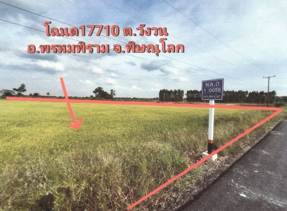 รูปที่ดินว่างเปล่า วังวน พรหมพิราม พิษณุโลก