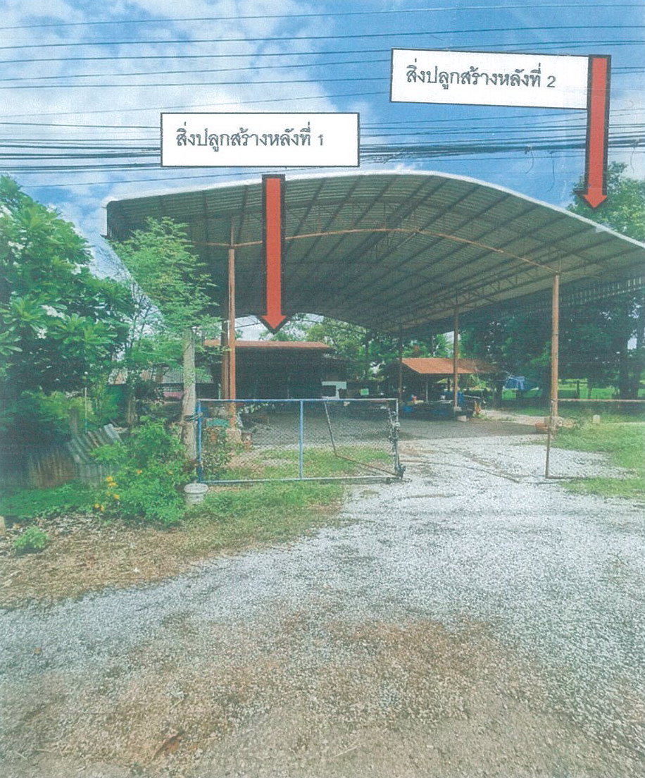 รูปที่ดินพร้อมสิ่งปลูกสร้าง นางลือ เมืองชัยนาท ชัยนาท
