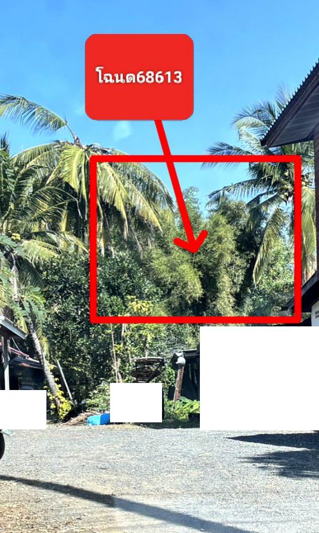 รูปที่ดินว่างเปล่า ดอน ปักธงชัย นครราชสีมา