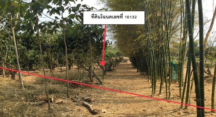 รูปที่ดินว่างเปล่า ท่าตอน แม่อาย เชียงใหม่