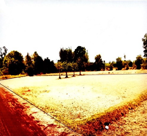 รูปที่ดินว่างเปล่า เมืองน้อย ธวัชบุรี ร้อยเอ็ด