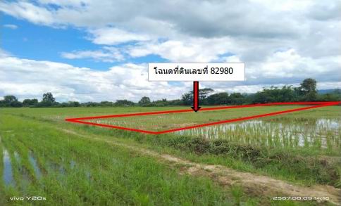 รูปที่ดินว่างเปล่า ป่าหุ่ง พาน เชียงราย