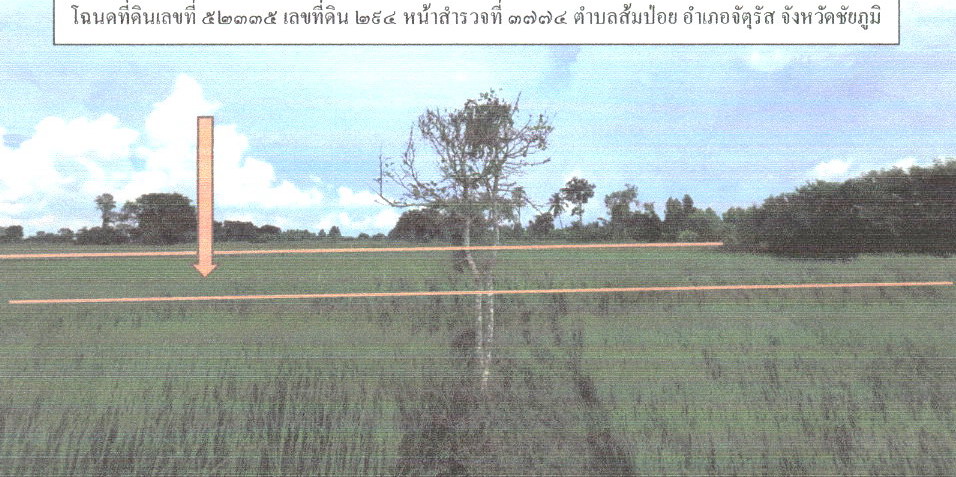 รูปที่ดินว่างเปล่า ส้มป่อย จัตุรัส ชัยภูมิ