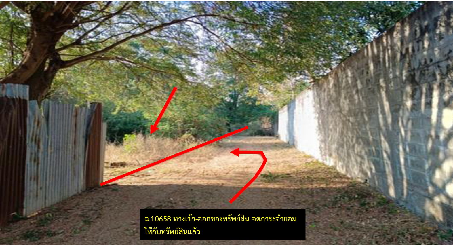 รูปที่ดินว่างเปล่า ไม้งาม เมืองตาก ตาก