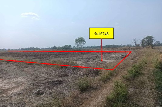 รูปที่ดินว่างเปล่า ท้ายทุ่ง ทับคล้อ พิจิตร