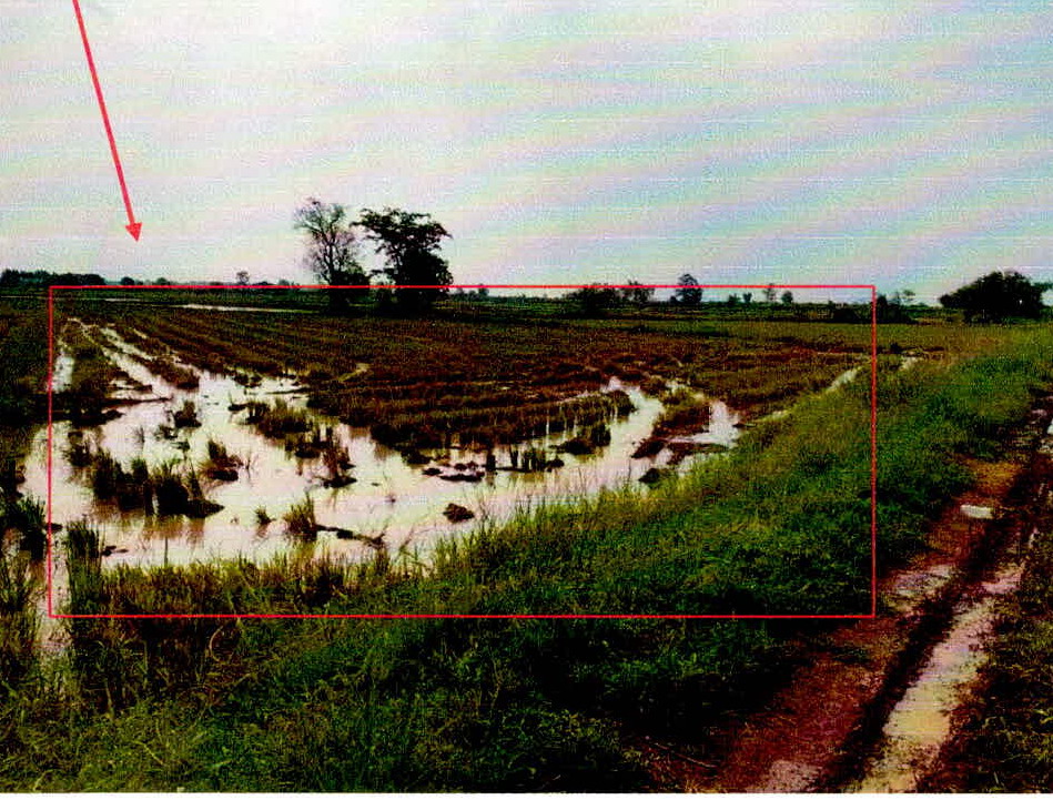 รูปที่ดินว่างเปล่า เขื่อน โกสุมพิสัย มหาสารคาม