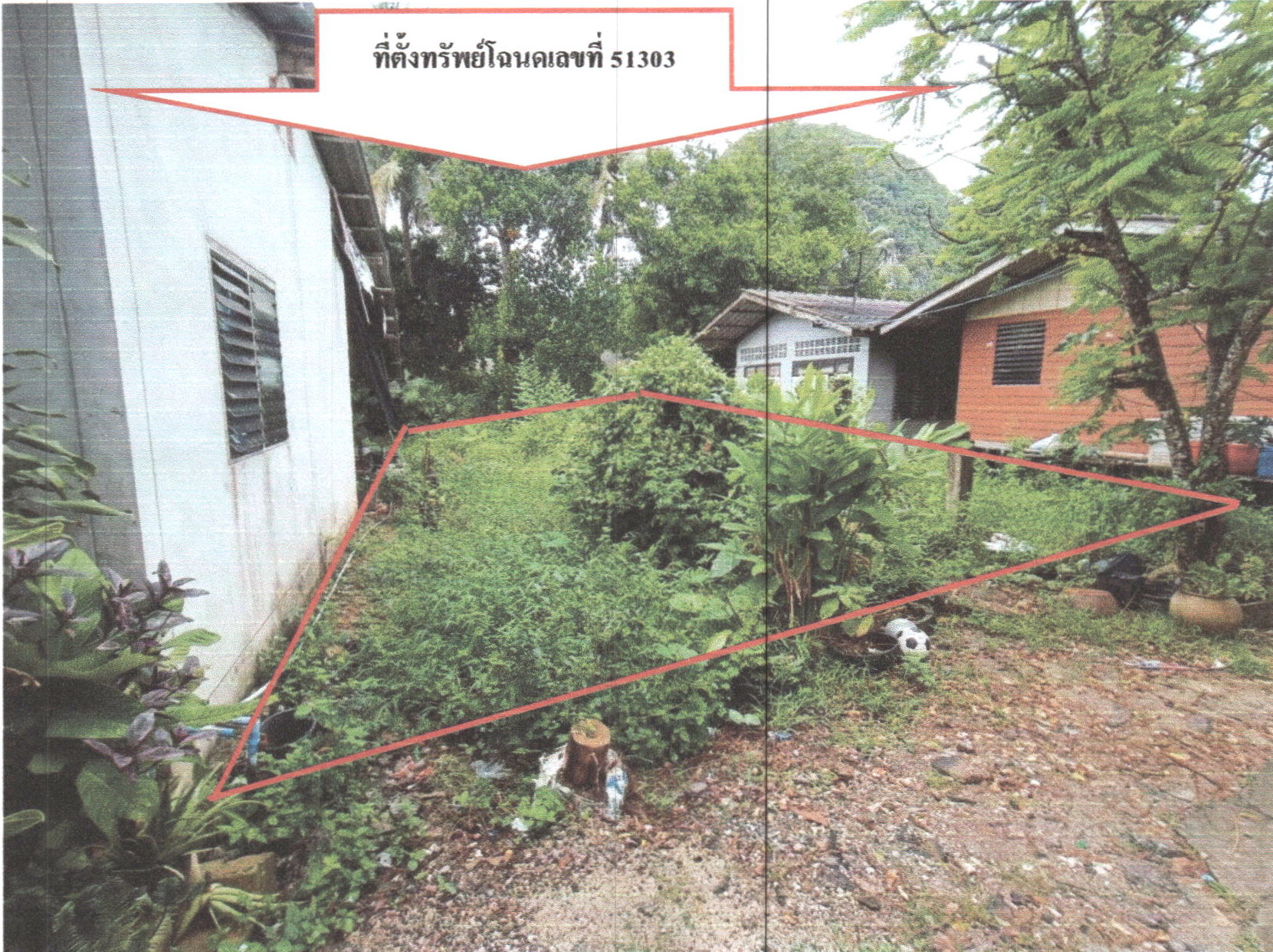 รูปที่ดินว่างเปล่า พญาขัน เมืองพัทลุง พัทลุง
