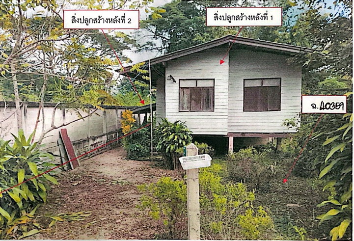 รูปที่ดินพร้อมสิ่งปลูกสร้าง ป่าอ้อดอนชัย เมืองเชียงราย เชียงราย