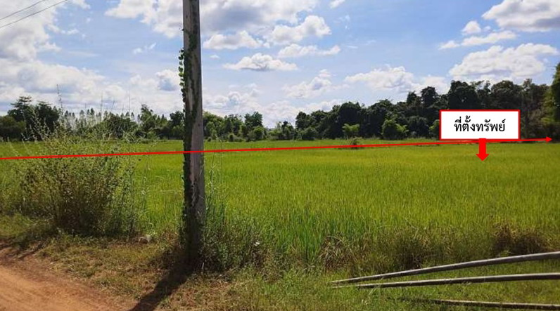 รูปที่ดินว่างเปล่า นาตาล เต่างอย สกลนคร