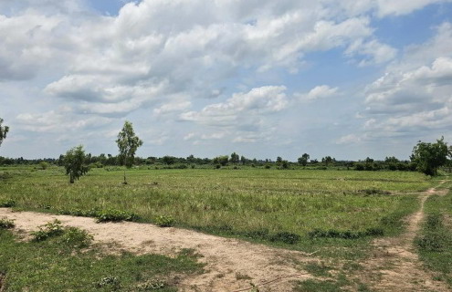 รูปที่ดินว่างเปล่า หัวงัว ยางตลาด กาฬสินธุ์