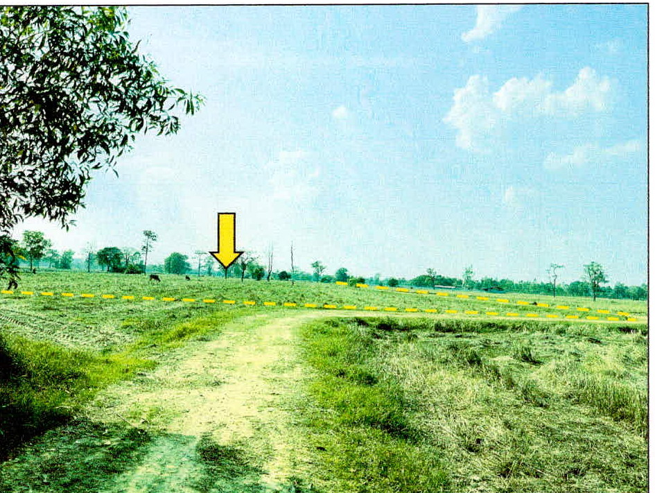 รูปที่ดินว่างเปล่า สำโรงปราสาท ปรางค์กู่ ศรีสะเกษ