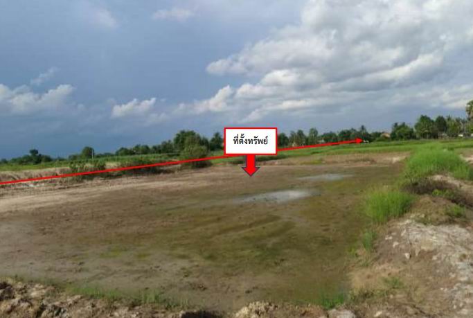 รูปที่ดินว่างเปล่า บ้านฝาง สระใคร หนองคาย