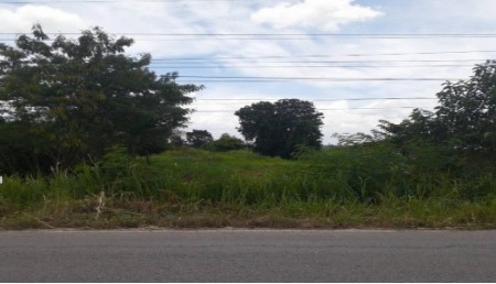 รูปที่ดินว่างเปล่า ผักปัง ภูเขียว ชัยภูมิ