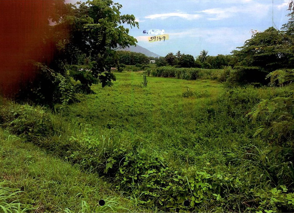 รูปที่ดินว่างเปล่า ศรีสองรัก เมืองเลย เลย