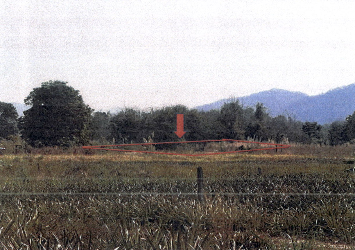 รูปที่ดินว่างเปล่า บ้านเสด็จ เมืองลำปาง ลำปาง