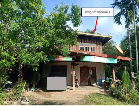 รูปที่ดินพร้อมสิ่งปลูกสร้าง โดมประดิษฐ์ น้ำยืน อุบลราชธานี