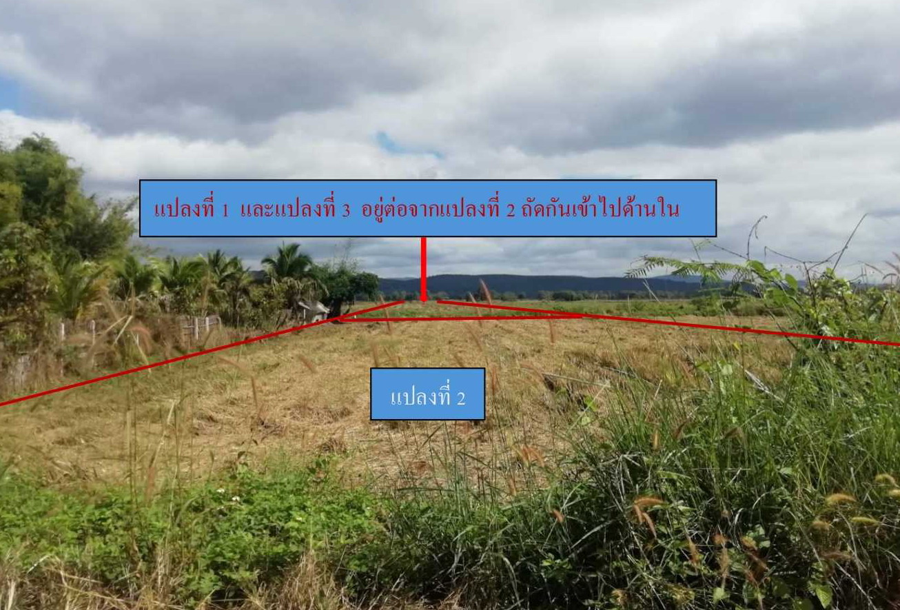 รูปที่ดินว่างเปล่า แม่ปืม เมืองพะเยา พะเยา
