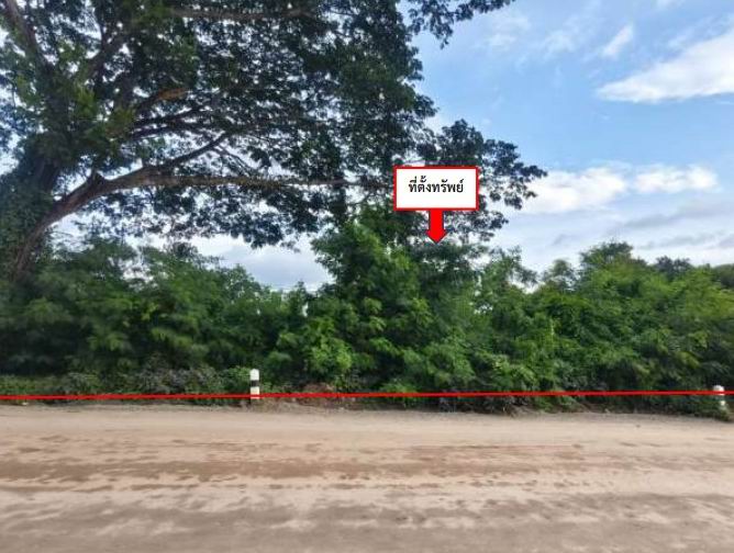รูปที่ดินว่างเปล่า บ้านฝาง สระใคร หนองคาย