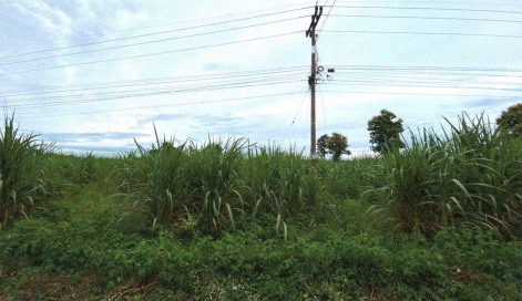รูปที่ดินว่างเปล่า พิมูล ห้วยเม็ก กาฬสินธุ์