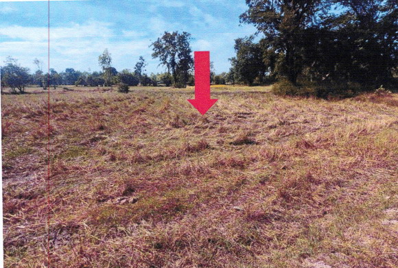 รูปที่ดินว่างเปล่า หนองขอน เมืองอุบลราชธานี อุบลราชธานี