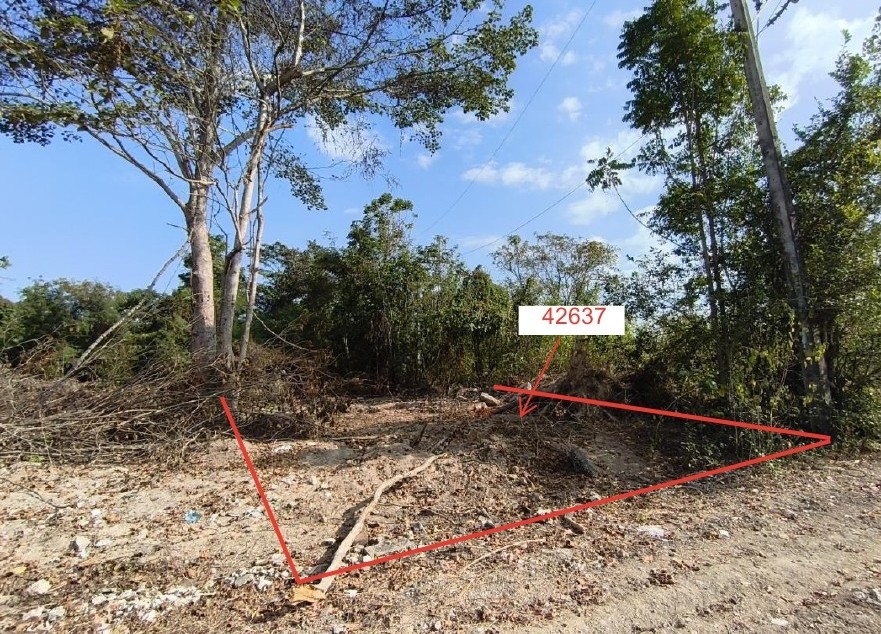 รูปที่ดินว่างเปล่า ไม้งาม เมืองตาก ตาก