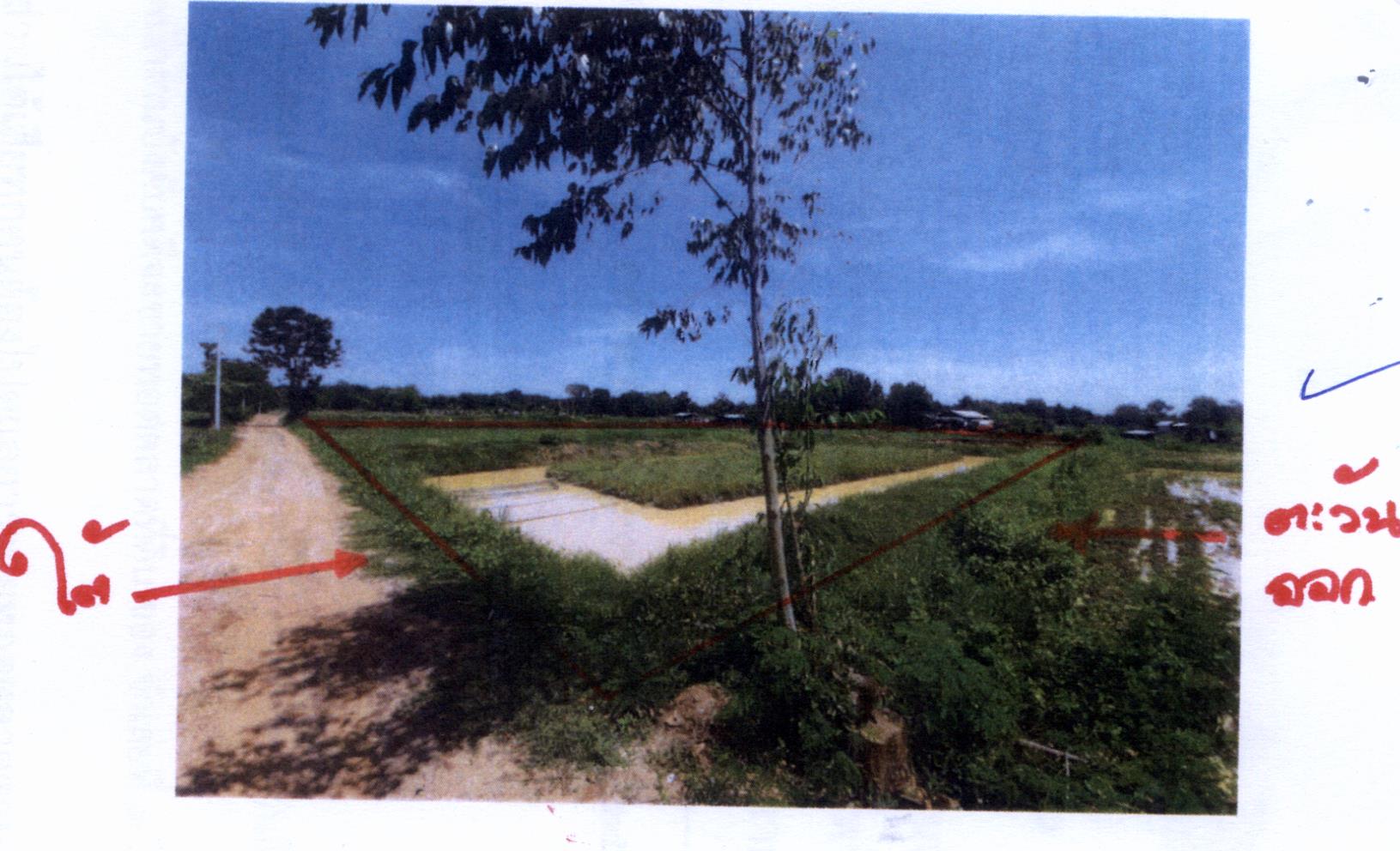 รูปที่ดินว่างเปล่า เมืองเพีย กุดจับ อุดรธานี
