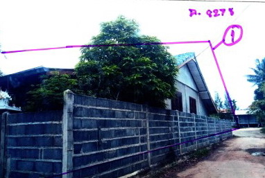 รูปที่ดินพร้อมสิ่งปลูกสร้าง ตาเสา ห้วยราช บุรีรัมย์