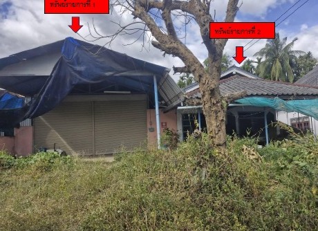 รูปที่ดินพร้อมสิ่งปลูกสร้าง บ้านติ้ว หล่มสัก เพชรบูรณ์