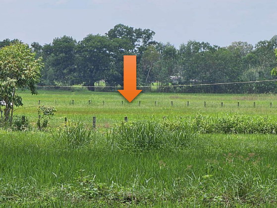 รูปที่ดินว่างเปล่า โพนงาม อากาศอำนวย สกลนคร