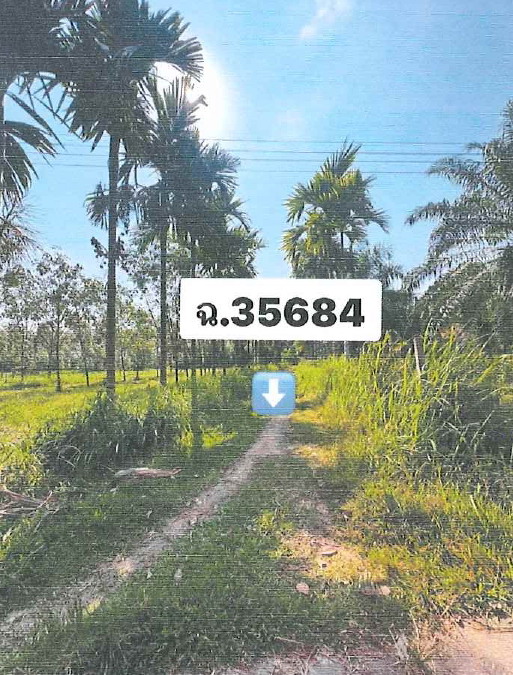 รูปที่ดินว่างเปล่า หินตก ร่อนพิบูลย์ นครศรีธรรมราช